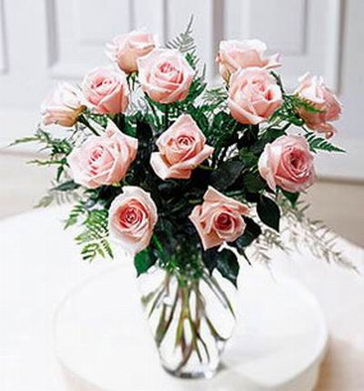 12 pink Roses