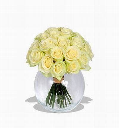 18 white Roses