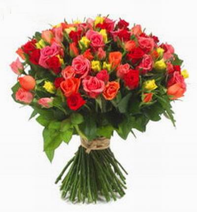 72 multi color Roses in clear crystal plastic wrapping