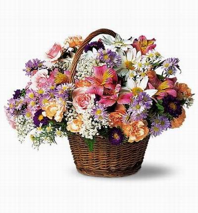5 pink Roses, Alstromerias (purple,white), daisies, carnations, and Baby Breath in basket