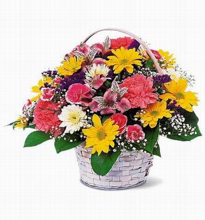 Floral mixture of Carnations, Shasta Daisies, Alstromerias, Baby's Breath and fillers.