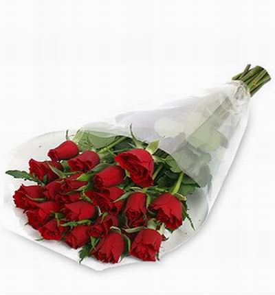 20 imported red Roses (mainly from USA or Holland)