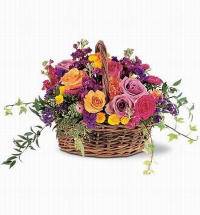 9 mixed colour roses, violets, daisies, statice with green