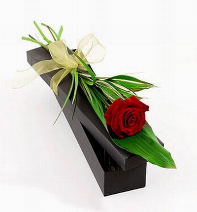 A single rose in a gift box.