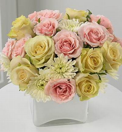 7 yellow and 9 pink roses with 4 Chysanthemum Dreamweavers in square vase
