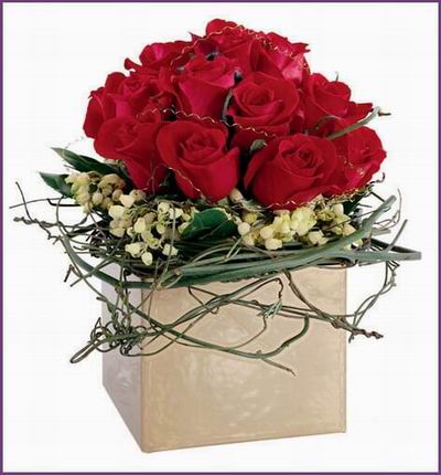 12 Roses with baby breath fillers in a wrapped gift box. Boxes may vary based on availability and a wrapped vase may be used as a substitution.