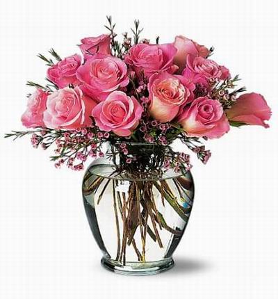 12 shaded pink color Roses.
