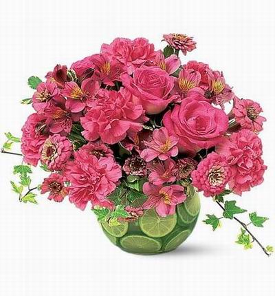 3 pink Roses, 5 pink Carnations, 8 Alstromerias and 8 Chysanthemums in a vase with lemon slices.