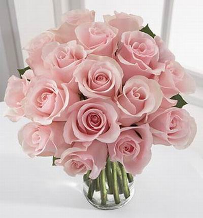 15 light pink Rose bouquet.