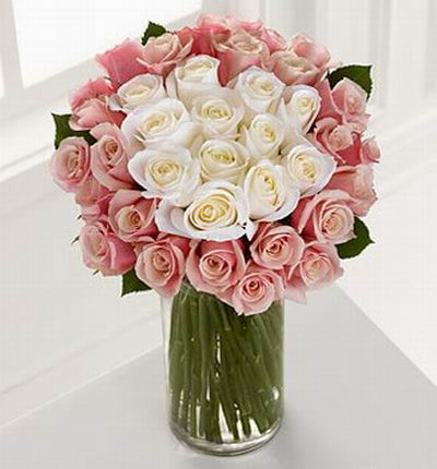 12 white Roses surrounded by 24 pink roses.