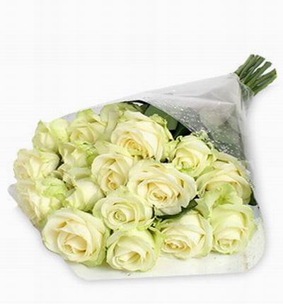 15 white Roses