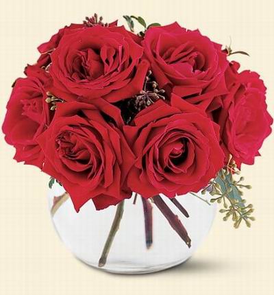 7 fresh Roses ready for your gift delivery.