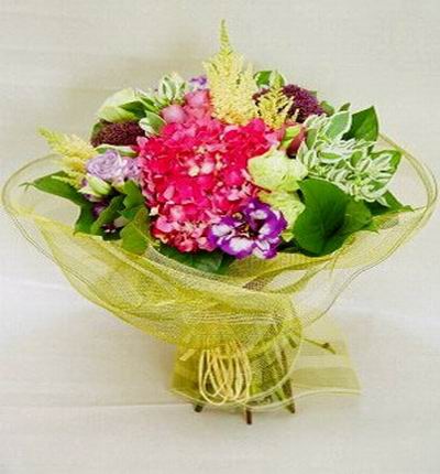 Hydrangea, 3 pink Roses, Greens and fillers in premium wrapping