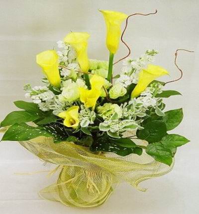 6 yellow Callas and Stocks