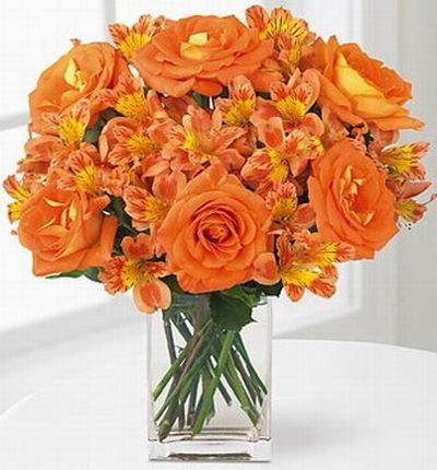 6 orange Roses with 20 Alstromeria fillers.