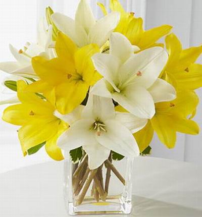 5 yellow Lilies and 5 white Lilies.