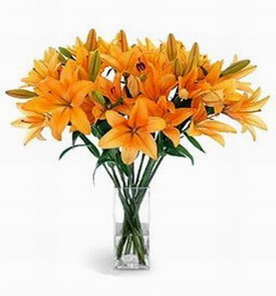 10 stems of orange Lilies.