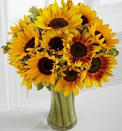 15 Sunflowers