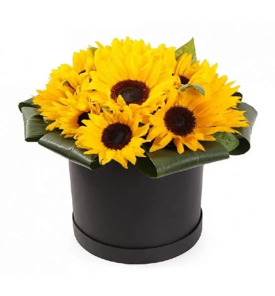 10 sunflowers in round black box. If boxes are not available, please let us know alternatives.
