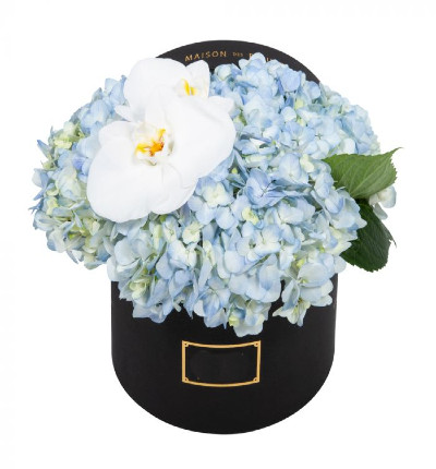 Hydrangeas in round black box. If boxes are not available, please let us know alternatives.