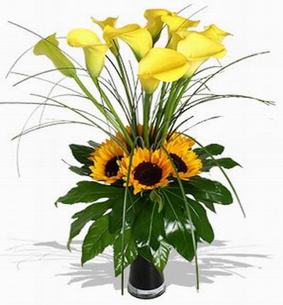 5 Sunflowers and 9 yellow Calla Lilies with grass and leaf fillers.