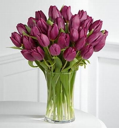 30 gorgeous purple tulips.
