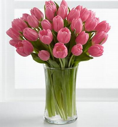 30 glamourous tulips.