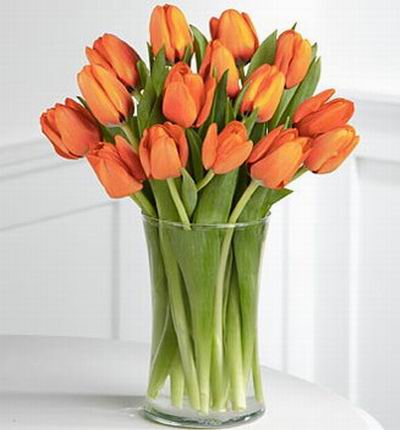 15 delightful tulips.