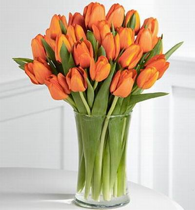 25 delightful tulips.