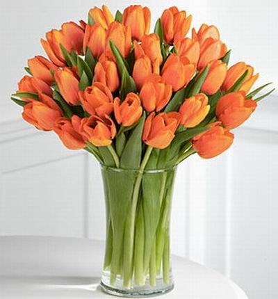 30 delightful tulips.