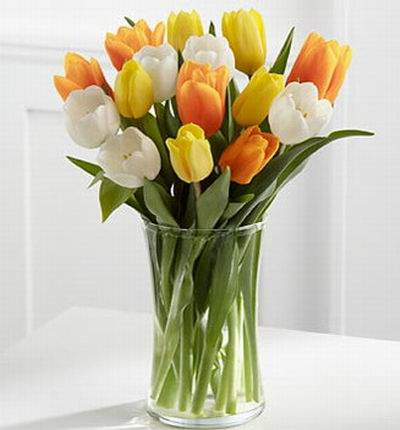 5 white, 5 orange, 5 yellow tulip mix.