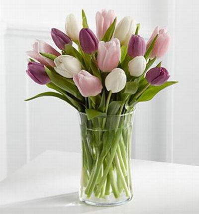 5 white, 5 pink, 5 purple tulip mix.