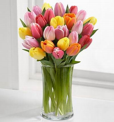A assorted mix of 25 tulips..