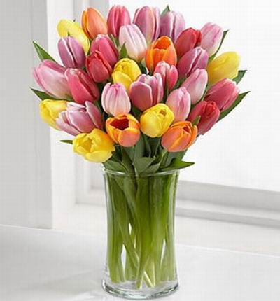 A assorted mix of 30 tulips..