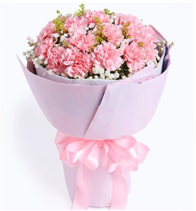 12 Pink carnation bouquet with baby breathe