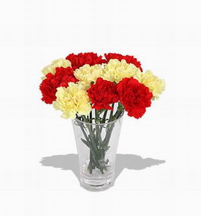 5 red Carnations and 5 white Carnations.