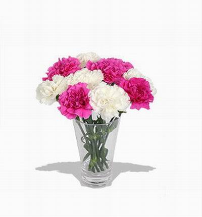 5 pink Carnations and 5 white Carnations.