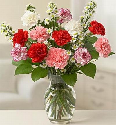 12 assorted colors of Carnations with fillers.