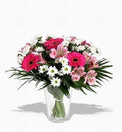 3 pink Gerbera Daisies, 8 Alstromerias, and white Daisy Poms and greenery.