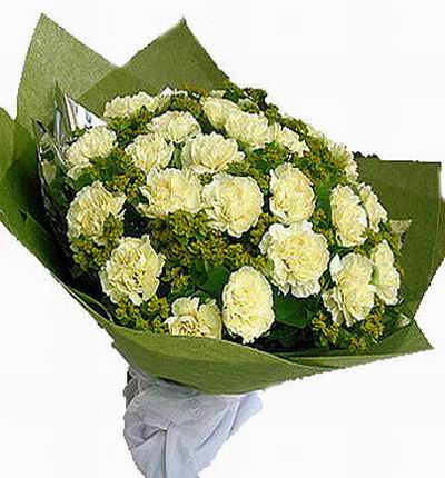20 white/cream color Carnations and greenery.