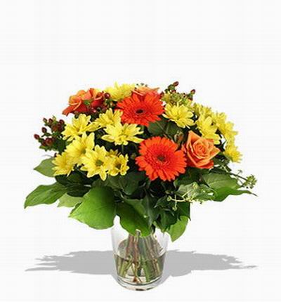 Yellow and Orange mix of two orange Daisies, two orange Roses and 15 yellow Chysanthemums.