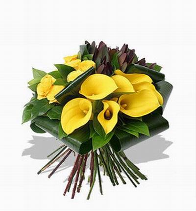 12 yellow Calla Lilies and leaves.