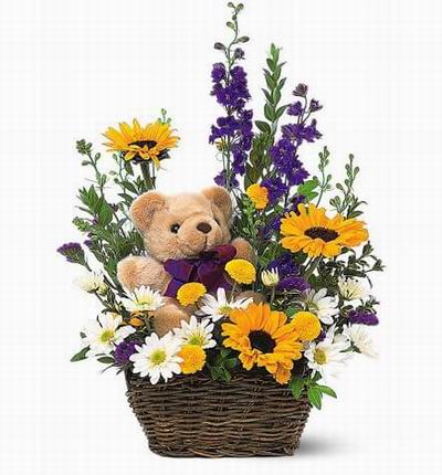 3 Sunflowers, 8 Shasta Daisies, 5 Ball Poms, Freeasias and fillers with a 15 cm Teddy bear.