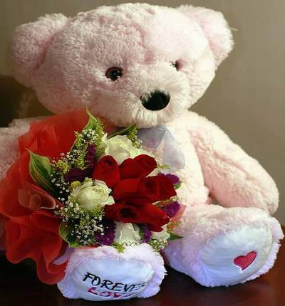 6 red Roses 4 white Roses with Baby's Breath, Statice fillers with a 40cm Teddy bear.