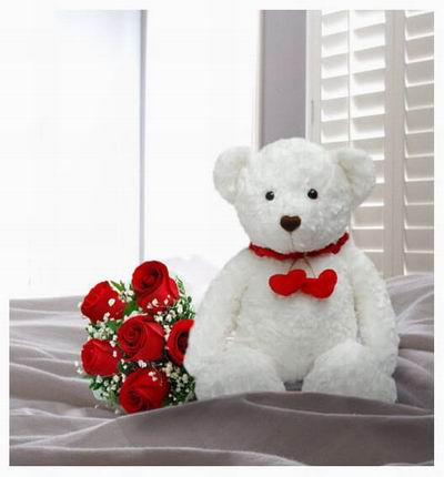 6 Roses and Baby's Breath with a 20cm Teddy bear.  Teddy bears may vary based on availability.
