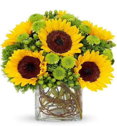 * Sunflowers
* Green Hypericum
* Clear Cube Vase