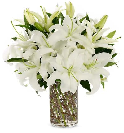 * White Lilies
* Clear Glass Cylinder
* Curly Willow