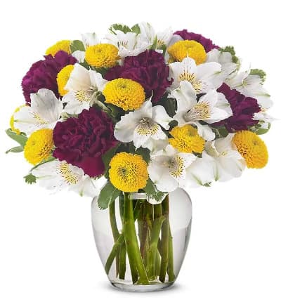 * Dark Purple Carnations
* White Alstroemeria
* Yellow Poms
* Clear Glass Vase
* Same Day Delivery Available