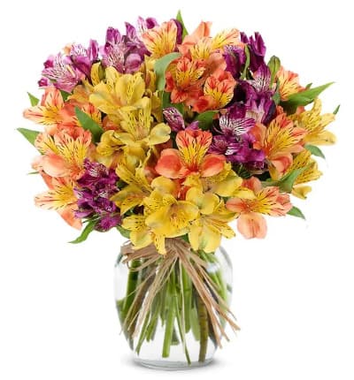 * Colorful Alstroemeria Variety
* Clear Gathering Vase
* Decorative Raffia Bow