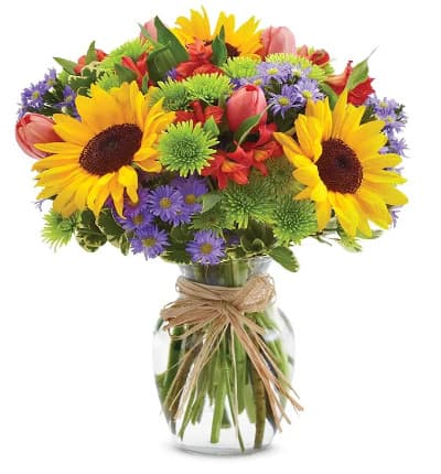 * Sunflowers
* Pink Tulips
* Red Alstroemeria
* Purple Monte Casino Asters
* Green Poms